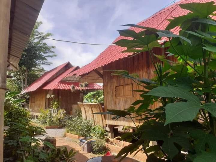 Odambang Village Homestay バッタンバン エクステリア 写真
