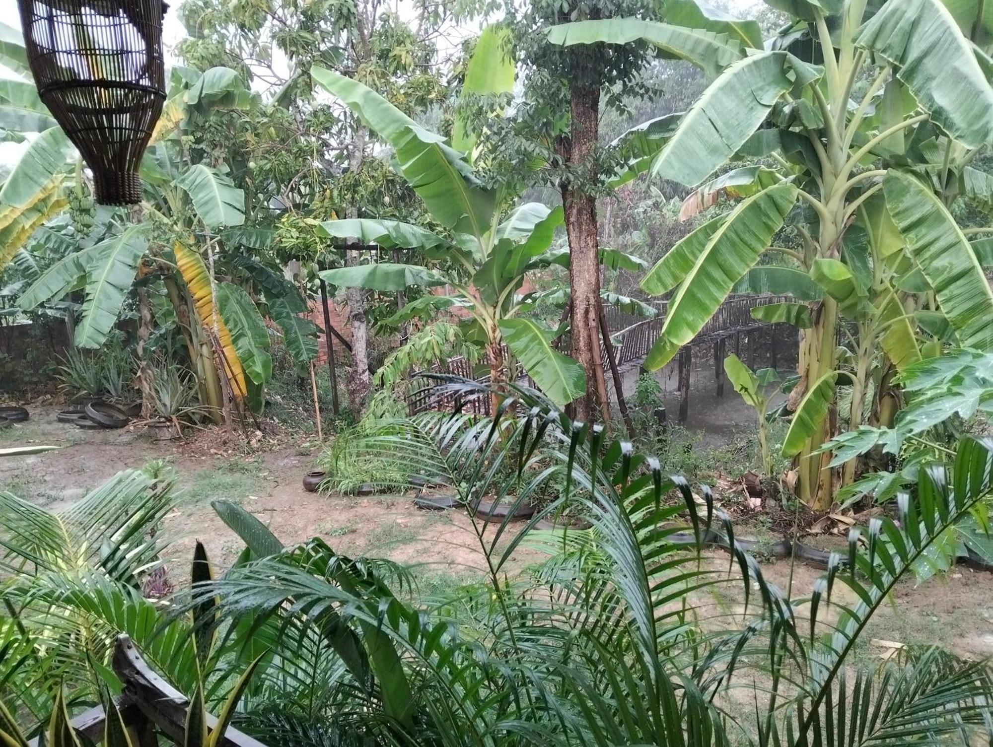 Odambang Village Homestay バッタンバン エクステリア 写真
